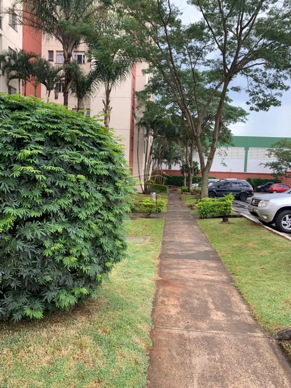 Comprar Apartamentos / Padrão em Suzano R$ 350.000,00 - Foto 3