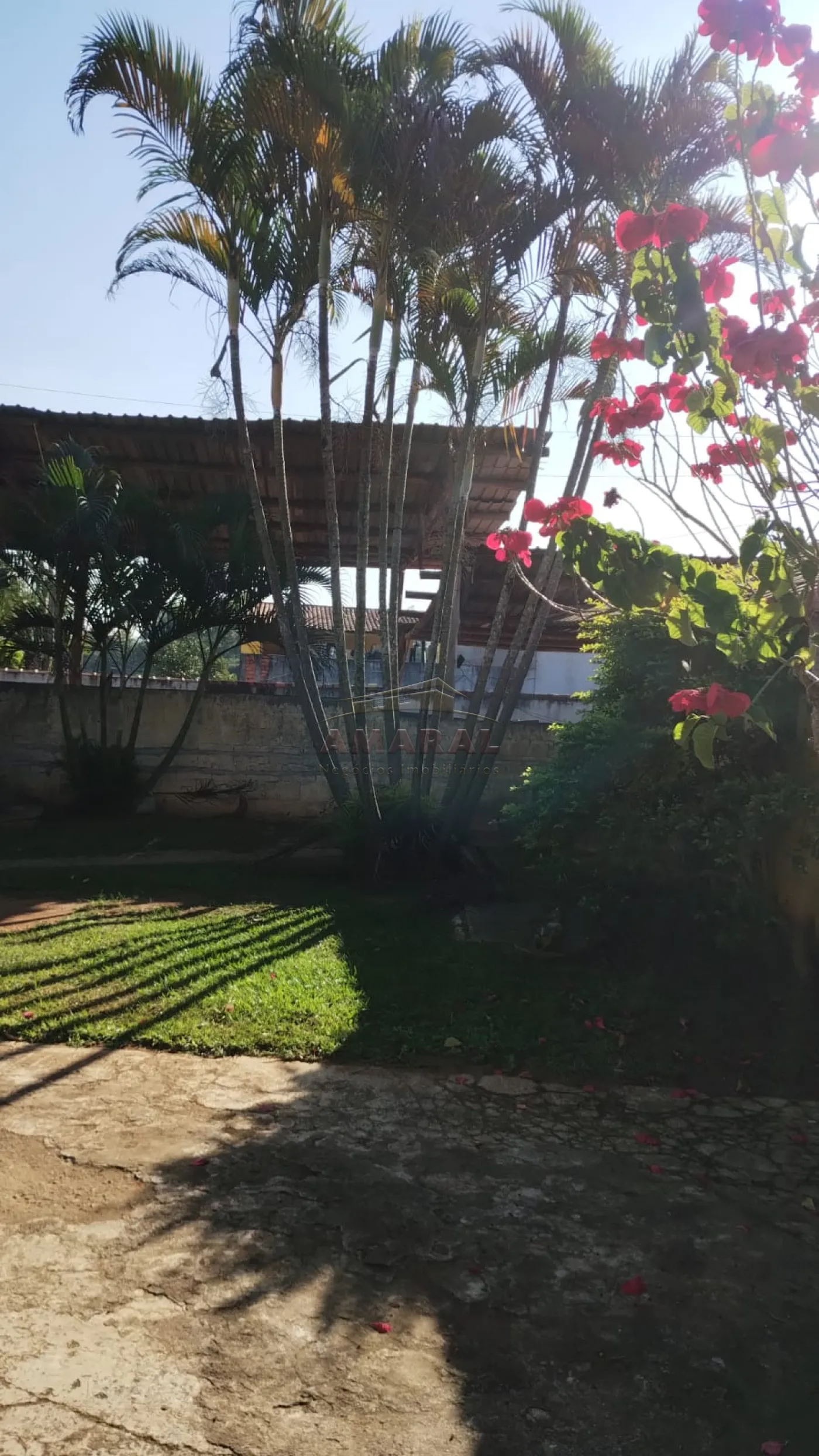 Comprar Rurais / Chácara em Suzano R$ 650.000,00 - Foto 8