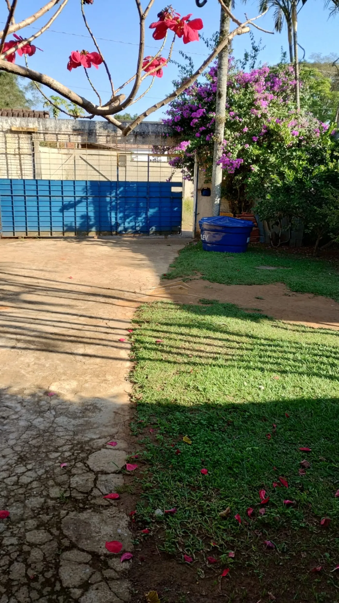 Comprar Rurais / Chácara em Suzano R$ 650.000,00 - Foto 14