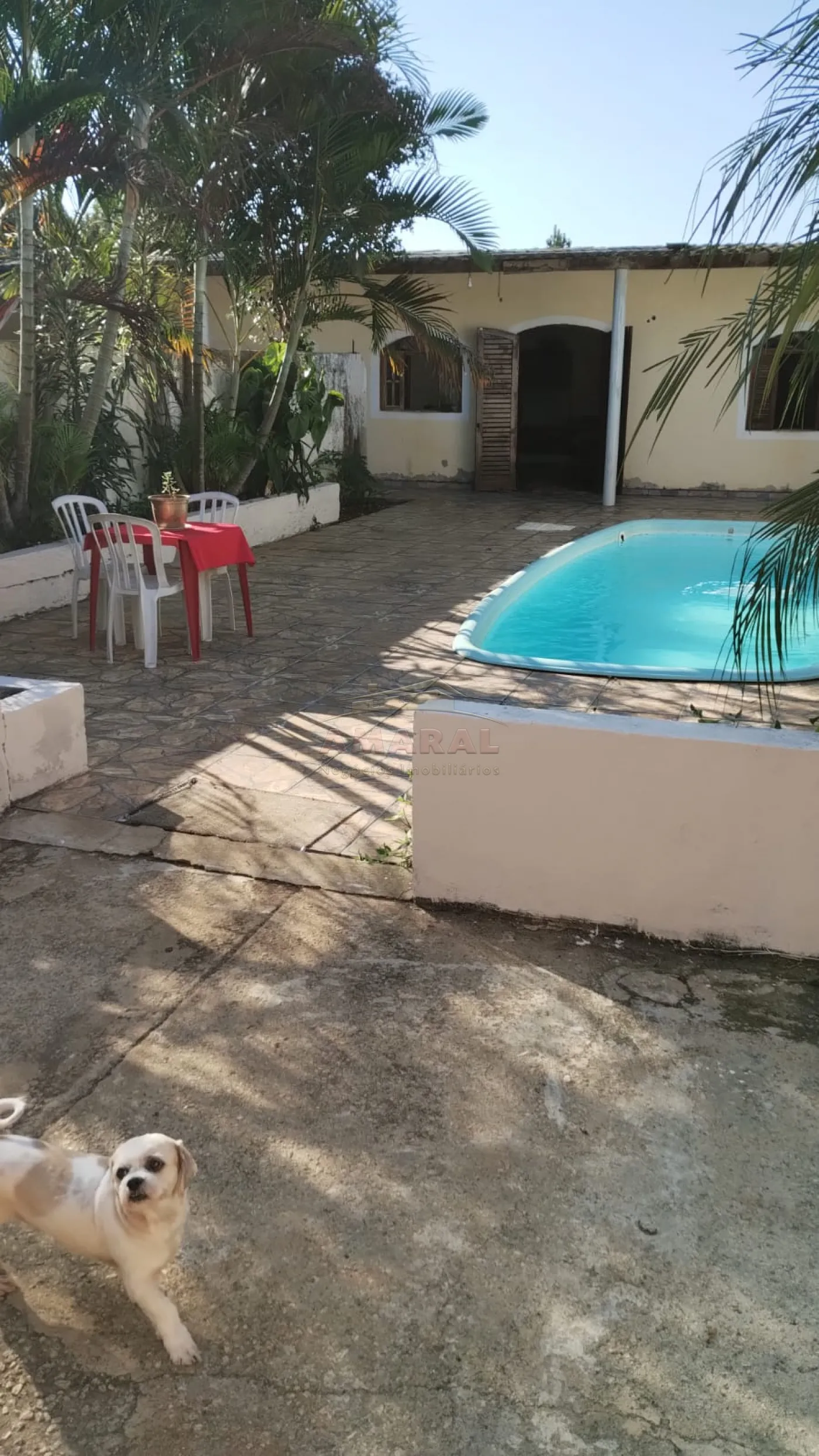 Comprar Rurais / Chácara em Suzano R$ 650.000,00 - Foto 28