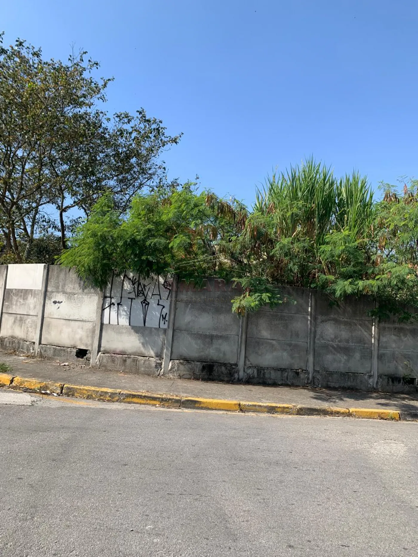 Comprar Terrenos / Terreno em Suzano R$ 270.000,00 - Foto 5